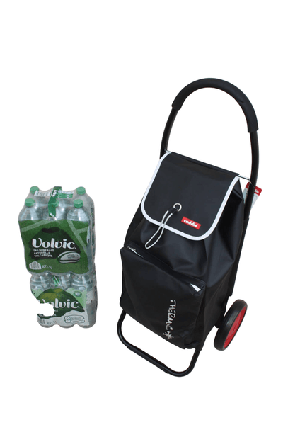 Chariot de courses Caddie - Pliable, Solide, Isotherme, Grandes Roues - 3 COLORIS