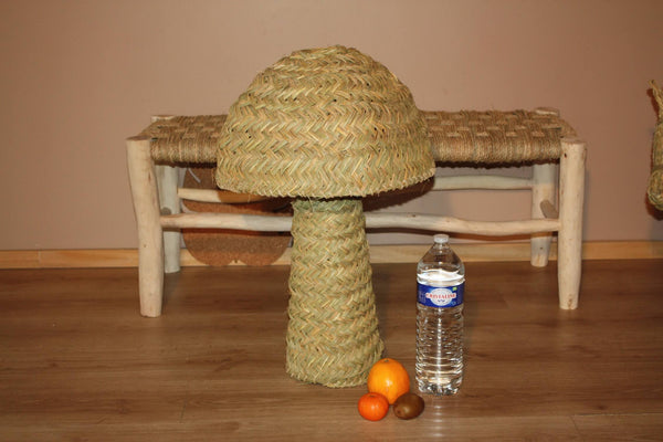 Lampe de Salon & Lampe de Chevet - Artisanale - FAIT MAIN en PALMIER - paille rotin osier