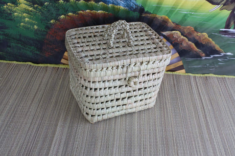 Small Braided Trunk or Child/Baby Storage Chest - Vanity Basket Bin Toys - Rattan Wicker